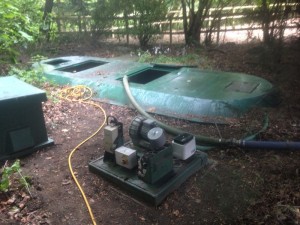 IMG-20130918-WA026